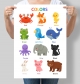 Навчальний постер Кольори англійською Colors