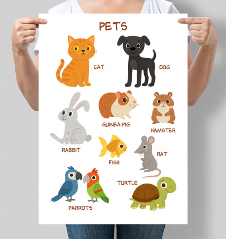 Навчальний постер для дитсадка англійською Тварини Pets
