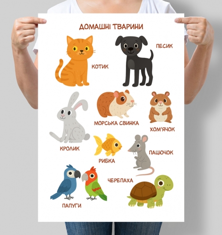 Навчальний постер для дитсадка Домашні тварини