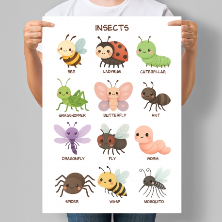 Навчальний постер для малюків Комахи англійською Insects