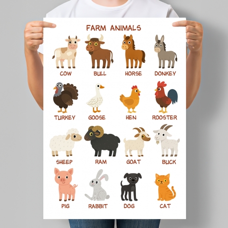 Навчальний постер для дитсадка англійською Farm Animals Тварини на фермі (Свійські тварини)
